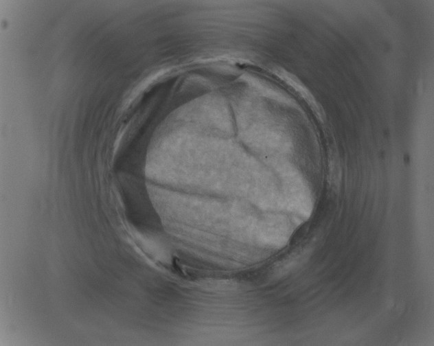 X0000081280577200702012221