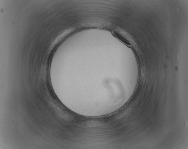 X0000081280578200702012221