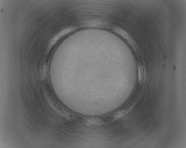 X0000081280579200702012221