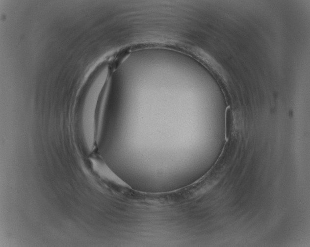 X0000081280580200702012221