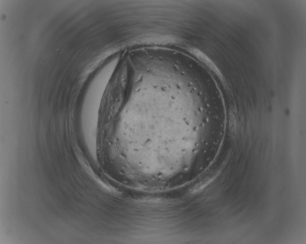 X0000081280581200702012221