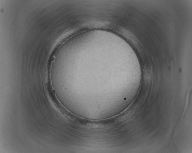 X0000081280582200702012221