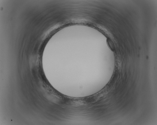 X0000081280583200702012221