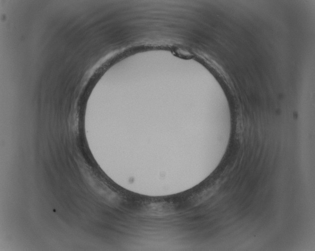 X0000081280584200702012221