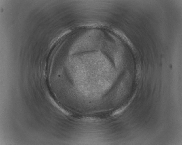 X0000081280585200702012221