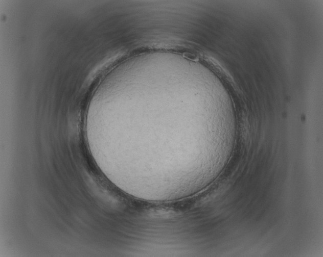 X0000081280586200702012221