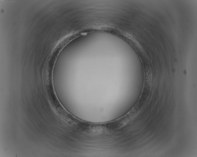 X0000081280587200702012221