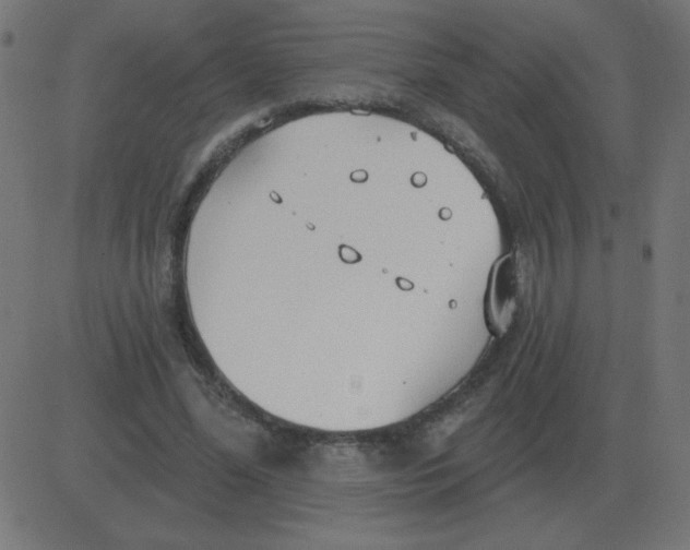 X0000081280588200702012221