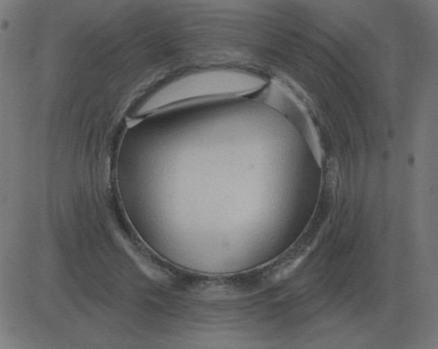 X0000081280589200702012221