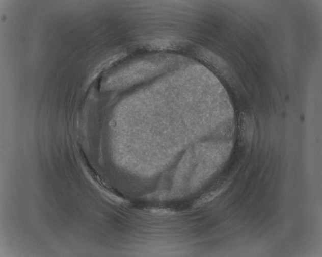 X0000081280590200702012221