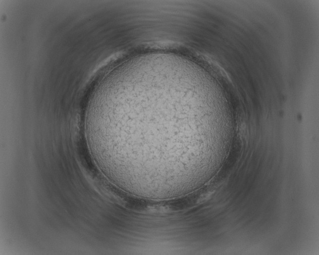 X0000081280591200702012221