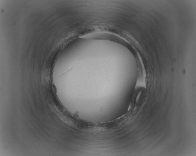 X0000081280593200702012221