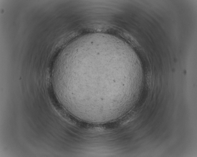 X0000081280594200702012221