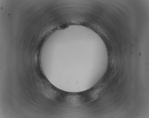 X0000081280595200702012221