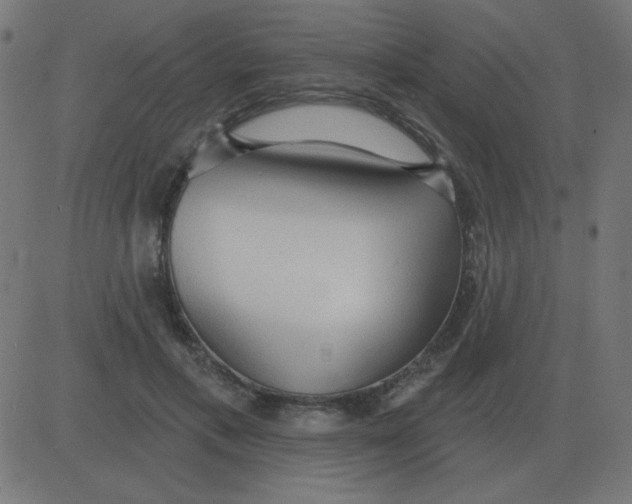 X0000081280597200702012220