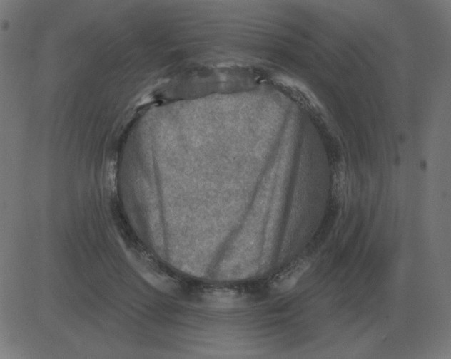 X0000081280598200702012220