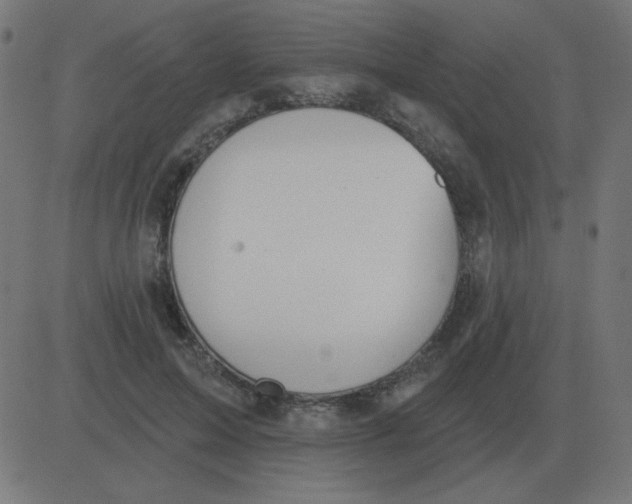 X0000081280599200702012220