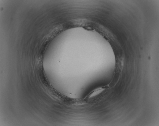 X0000081280601200702012220