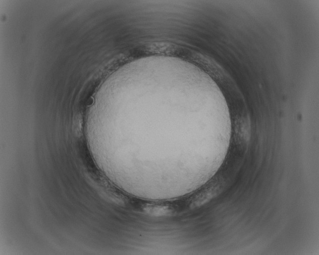 X0000081280602200702012220