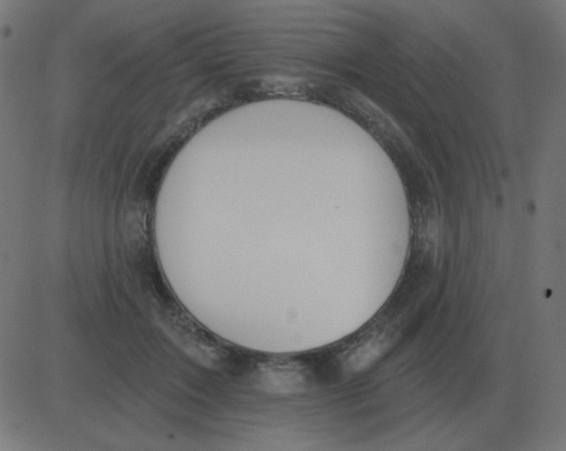 X0000081280603200702012220