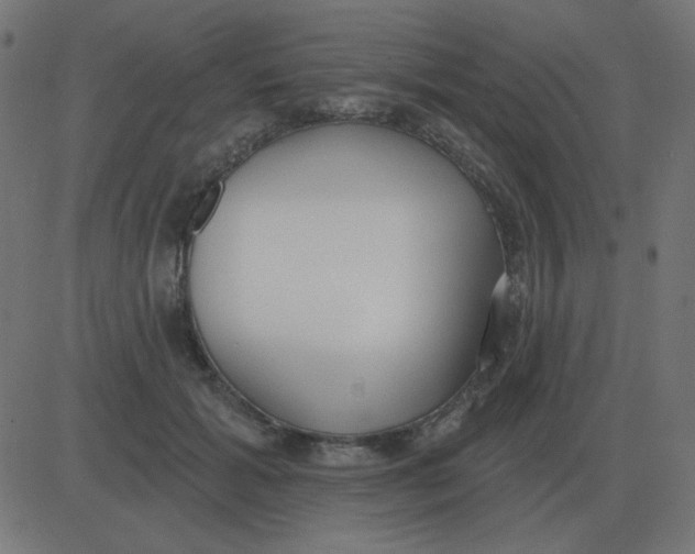 X0000081280605200702012220