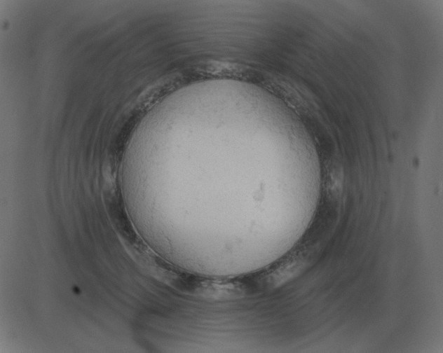 X0000081280607200702012220