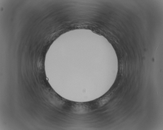 X0000081280608200702012220