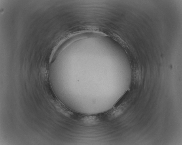 X0000081280609200702012220