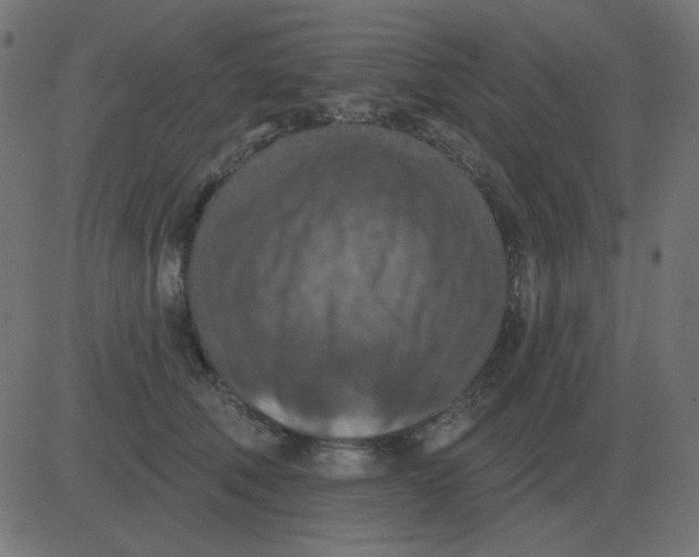 X0000081280610200702012220