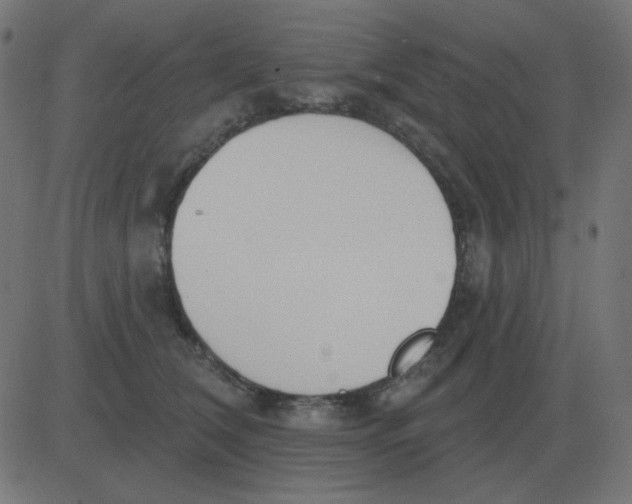 X0000081280612200702012220