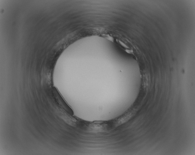 X0000081280613200702012220