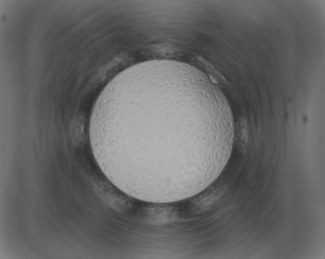 X0000081280615200702012220