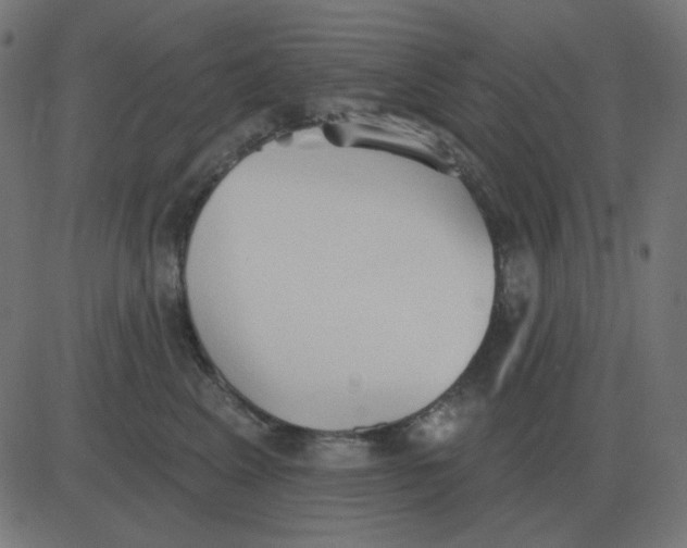 X0000081280617200702012220