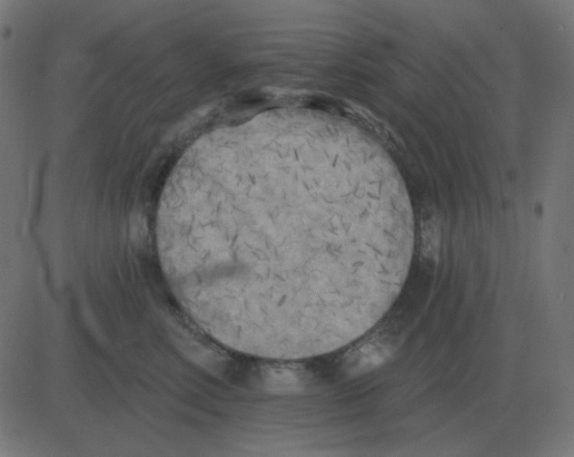 X0000081280618200702012220