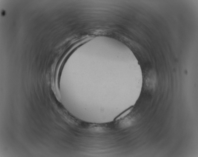 X0000081280620200702012220