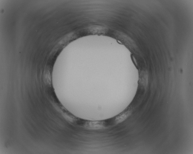 X0000081280622200702012220