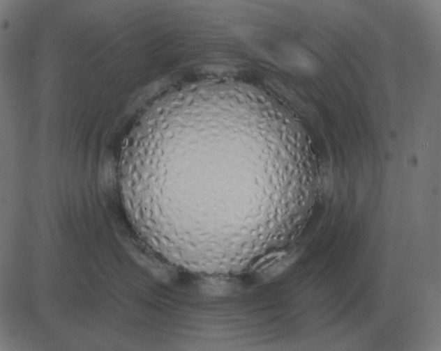 X0000081280623200702012220