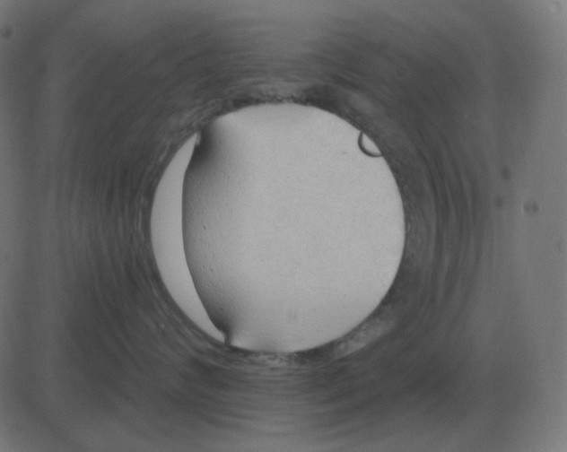 X0000081280624200702012220