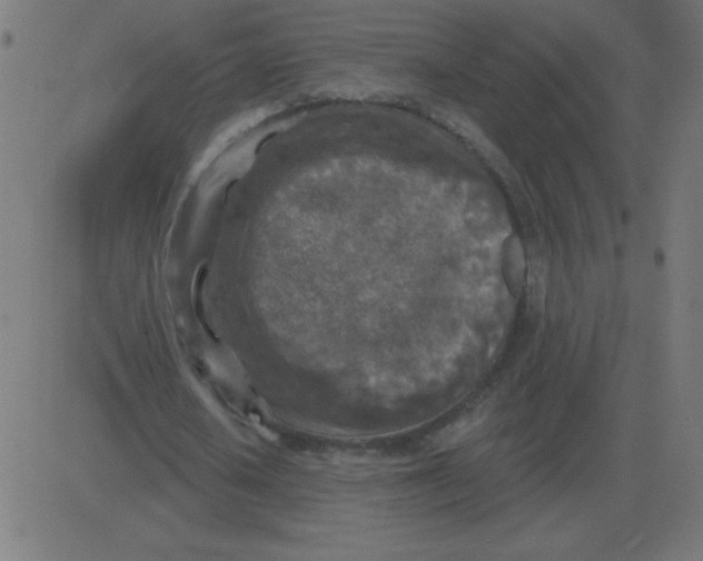 X0000081280626200702012219