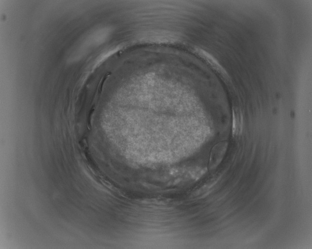 X0000081280627200702012219