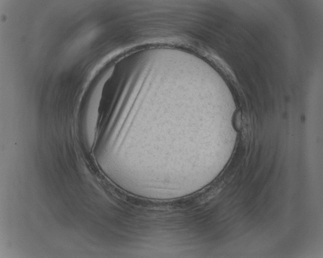 X0000081280628200702012219