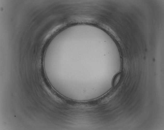 X0000081280629200702012219