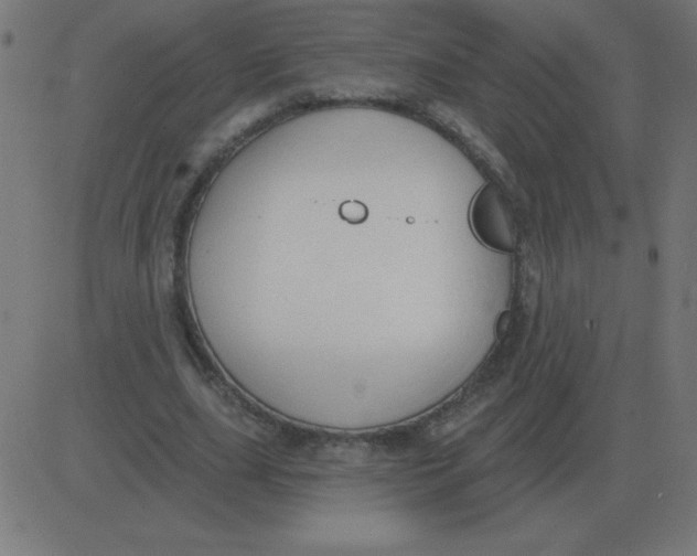 X0000081280631200702012219