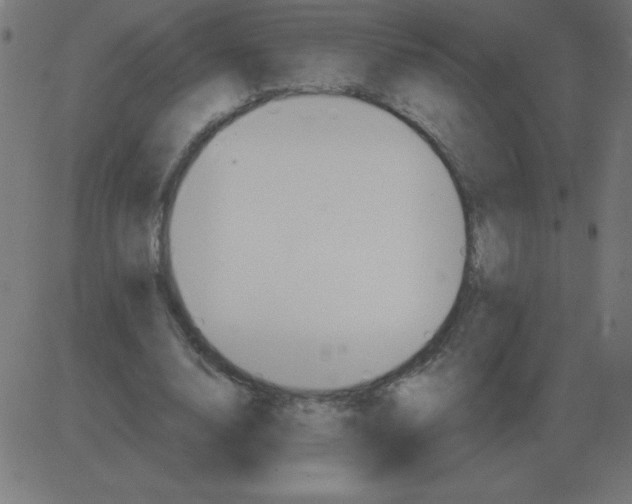 X0000081280632200702012219