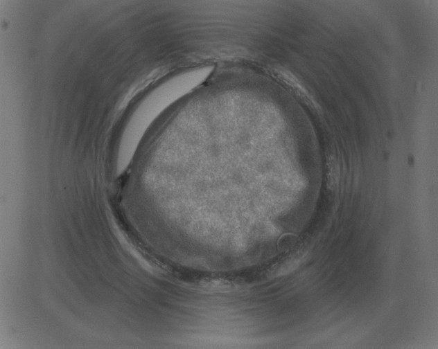 X0000081280634200702012219