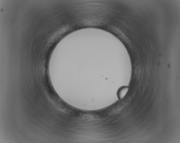 X0000081280635200702012219