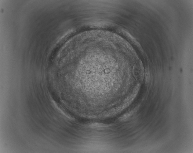 X0000081280637200702012219