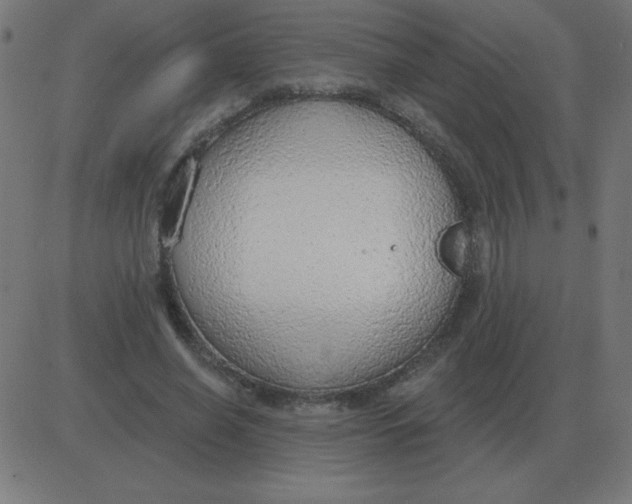 X0000081280638200702012219