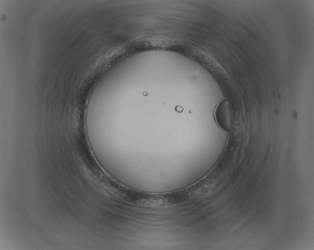 X0000081280639200702012219