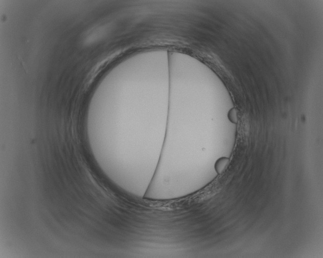 X0000081280640200702012219